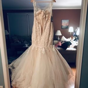 Maggie Sottero (Cassandra) Wedding Dress + Veil!